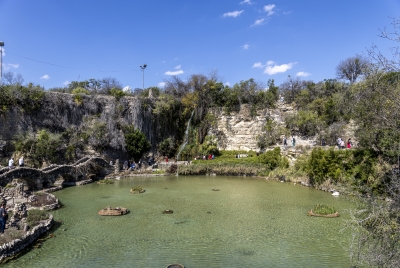 Japanese Garden San Antonio March 2025
